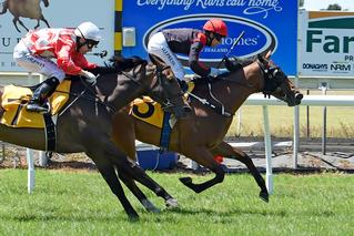 Miss Federer (NZ) showing her class in the G3 Woburn Farm 2YO Classic. Photo: Race Images PNth